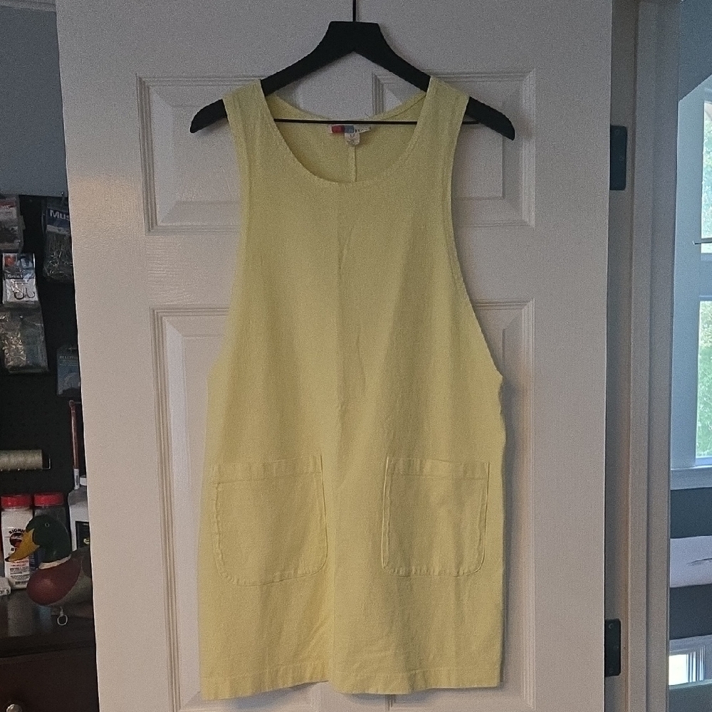 We The Free Mini Dress